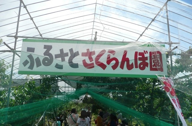 ふる里サクランボ園大曽根直売所 - 西川町その他（その他）の写真