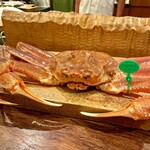 麻布 幸村 - 