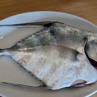 anchoa - イトヒキアジ