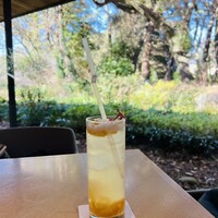 TEIEN Restaurant comodo - 