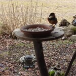 くつきそば 永昌庵 - 