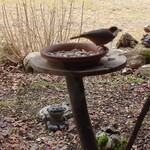 くつきそば 永昌庵 - 