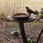 くつきそば 永昌庵 - 