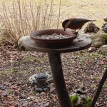 くつきそば 永昌庵 - 