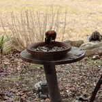 くつきそば 永昌庵 - 