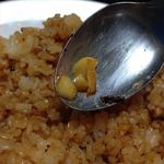 インドカレー クシ - ガーリックライス