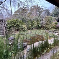 菊乃井 本店 - 