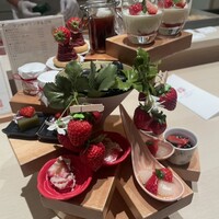 創作料理 FANCL令和本膳 - 