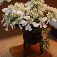 草喰 なかひがし - 