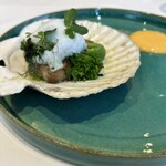 ポンドールイノ - 