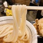 讃岐うどん 白庵 - うどん、にゅ〜〜ん！　※めちゃくちゃ太いよ