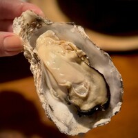 Seafood bar Ermitage 横浜鶴屋町店 - ぷっくり大粒の牡蠣