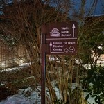 おしゃべりきのこ - 