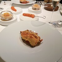 Plaiga TOKYO - 