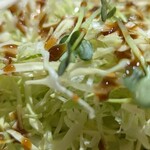 味のかつえだ - キャベツ。家ではあまり食べないから沢山食べれて嬉しい