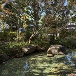 日本料理「むさしの」 - 