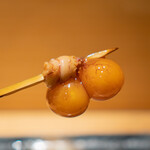 鳥megu - ちょうちん