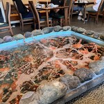 さかなや 魚清 - 