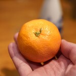 Spice Drunker やぶや - 