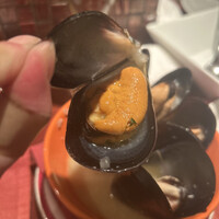 白金Baru - 