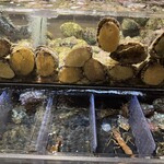 函館海鮮料理 海寿 - 