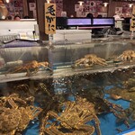 函館海鮮料理 海寿 - 