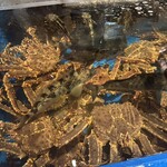 函館海鮮料理 海寿 - 