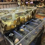 函館海鮮料理 海寿 - 