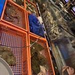 函館海鮮料理 海寿 - 