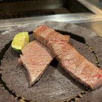 PONGA PREMIUM - 