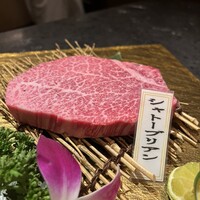 PONGA PREMIUM - 
