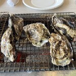 牡蛎処 桝政 - 牡蠣を焼く時はアルミホイルが有効、最初知らずに飛び散らしました(*^^*)