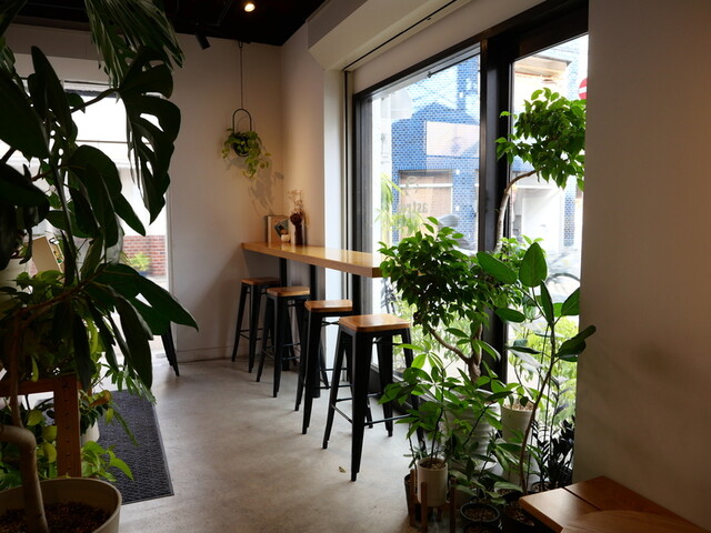 astreacoffee photo 4