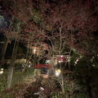 うかい鳥山 - 