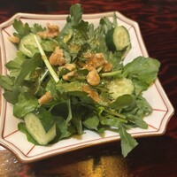 鳥ばか一代 - 