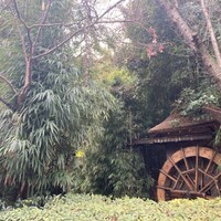 九つ井 本店 - 