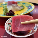 日本料理 藤井 - 本鮪の中トロ