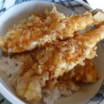 外山 - <'14/06/19>天丼（ご飯少な目版）