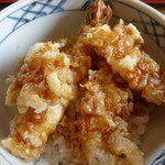 外山 - <'14/06/19>天丼（ご飯少な目版）