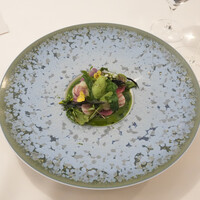 Restaurant KAITO - 蕪のおろし、春菊アイス　蝦夷鹿のタルタル、蕪の葉のソース、菜の花、黒米
