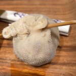 草原の料理 スヨリト - スヨリト(ラムの胃袋で包んだ肉団子)