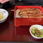 うなぎ処福 - うな重