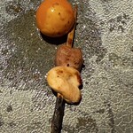 やきとり 右羽。 - 