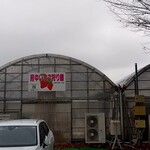 東京いちごカフェ - 