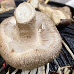 ゆきだるま中野部屋 - 