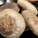 ゆきだるま中野部屋 - 