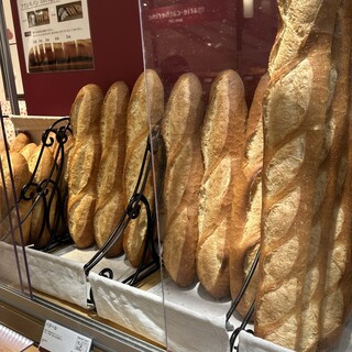 マリーカトリーヌ _1