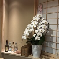 備長炭焼鳥 鳥しげ - 店内