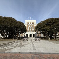 ジャルダン ポール・ボキューズ - 建物正面。シンボルツリーの椎木。