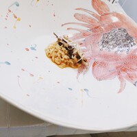 クイントカント - 